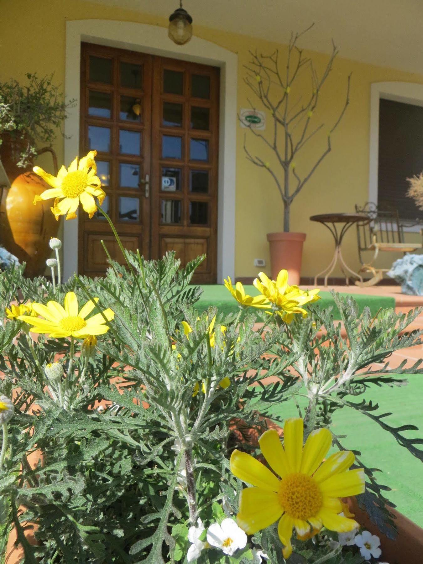 צ'יביטאנובה מארקה Hotel Girasole מראה חיצוני תמונה